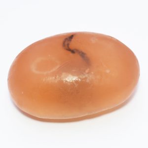 Galet de savon senteur Criste Marine